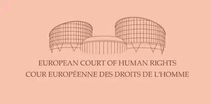 Tribunal de Derechos Humanos