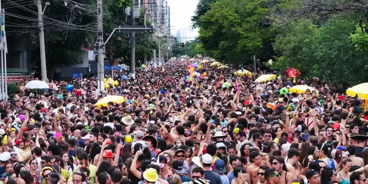 Multitudes de carnaval en Sao Paulo, 2019